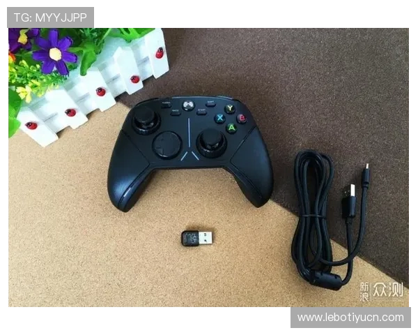 新宝娱乐城官网详细介绍各种热门游戏玩法，帮助新手快速上手体验乐趣