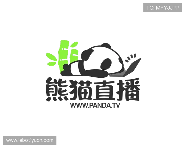 B体育登录娱乐平台的客户服务体系，全天候在线解答用户疑问与技术支持